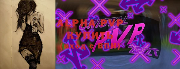 МДПВ Каменногорск