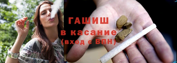 гашик Каменка