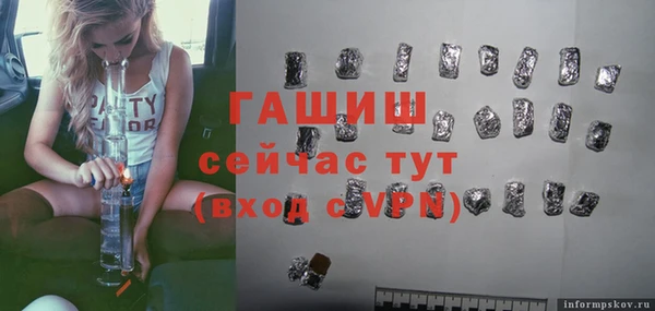 гашик Каменка