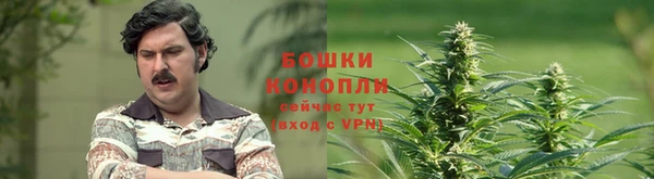 гашик Каменка