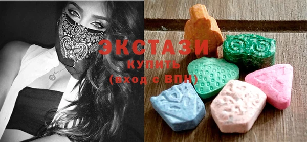 гашик Каменка