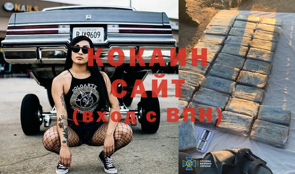 МДПВ Каменногорск