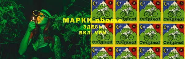 гашик Каменка