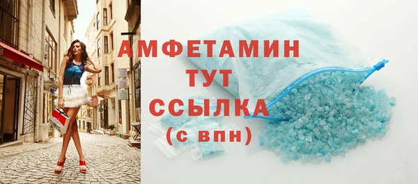 гашик Каменка