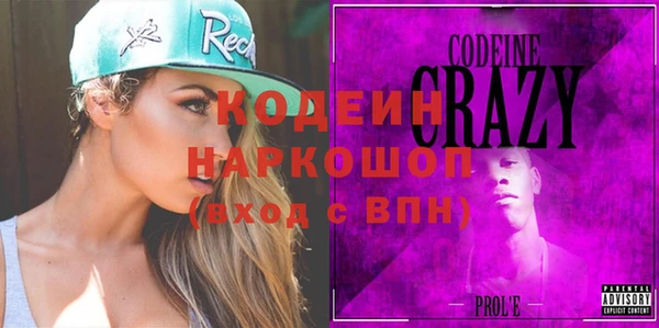 гашик Каменка
