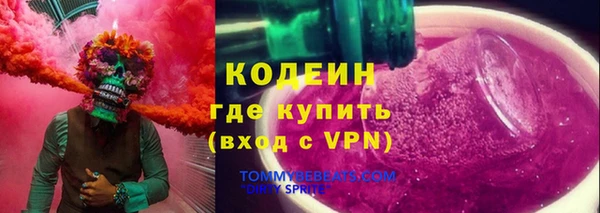 гашик Каменка