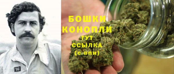 гашик Каменка